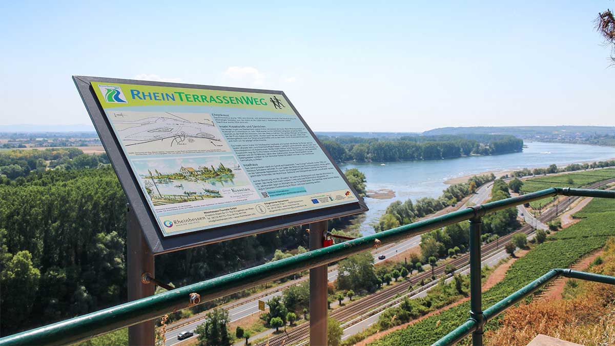 Infotafel_am_RheinTerrassenWeg_bei_Nackenheim