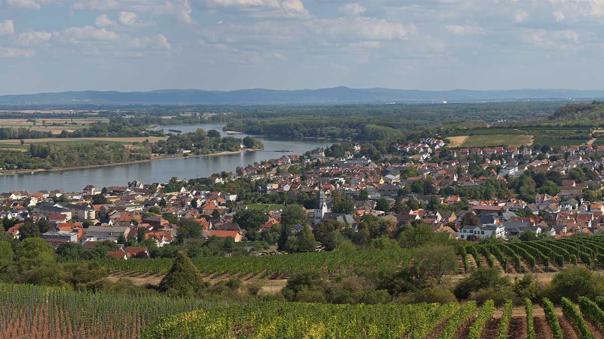 Nierstein_von_der_Warte