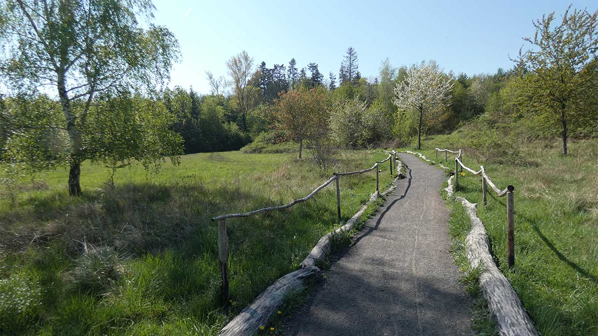 Wege_im_Ober-Olmer_(2022)